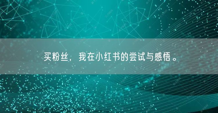 买粉丝，我在小红书的尝试与感悟。