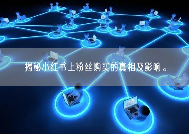 揭秘小红书上粉丝购买的真相及影响。