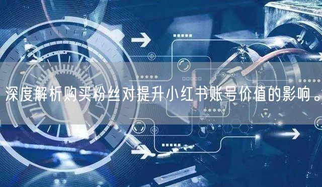 深度解析购买粉丝对提升小红书账号价值的影响。