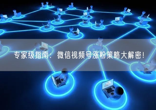 专家级指南：微信视频号涨粉策略大解密！