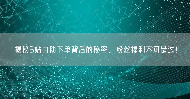 揭秘B站自助下单背后的秘密，粉丝福利不可错过！