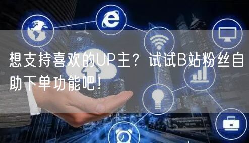 想支持喜欢的UP主？试试B站粉丝自助下单功能吧！