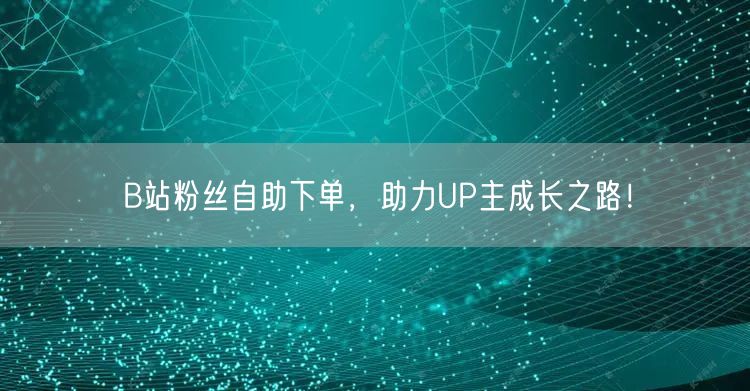 B站粉丝自助下单，助力UP主成长之路！