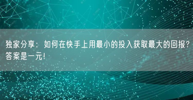 独家分享：如何在快手上用最小的投入获取最大的回报？答案是一元！