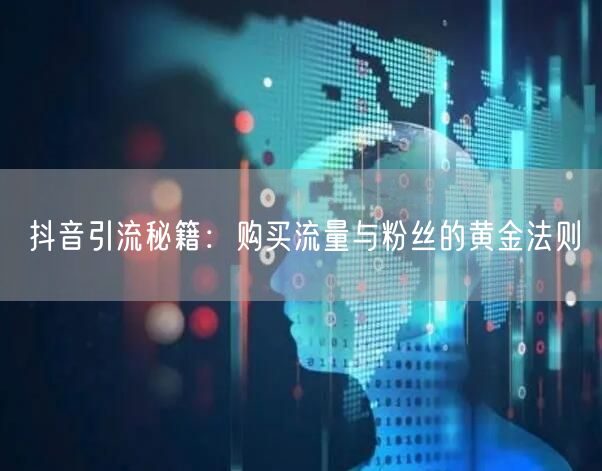 抖音引流秘籍：购买流量与粉丝的黄金法则