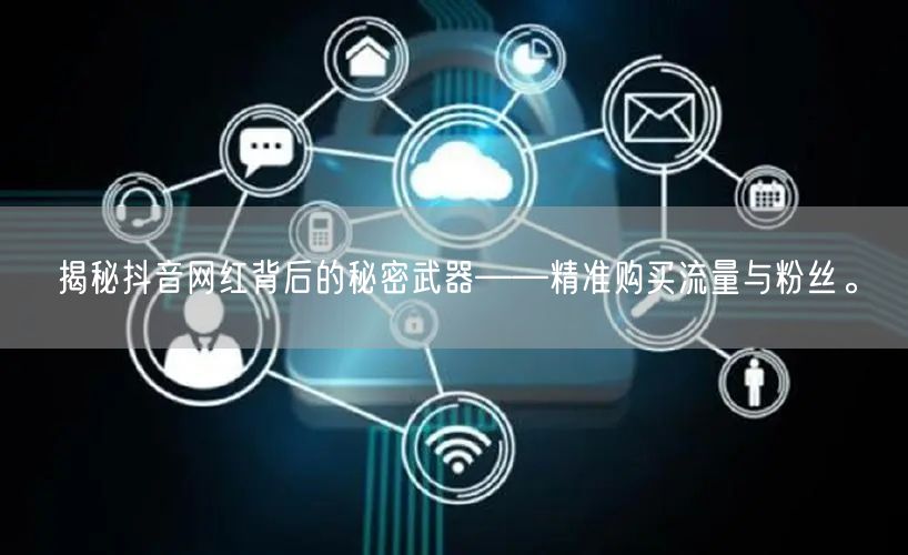 揭秘抖音网红背后的秘密武器——精准购买流量与粉丝。