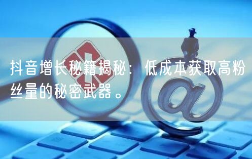抖音增长秘籍揭秘：低成本获取高粉丝量的秘密武器。