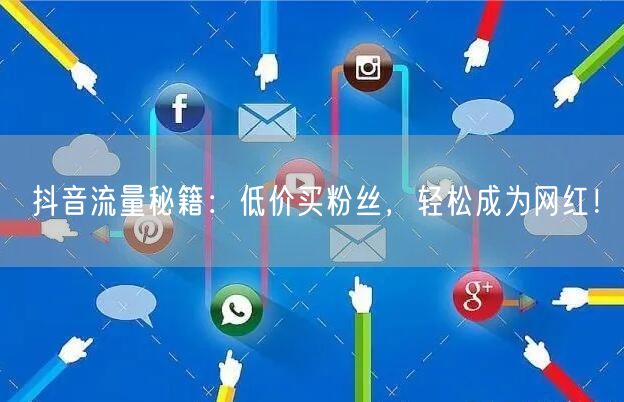 抖音流量秘籍：低价买粉丝，轻松成为网红！