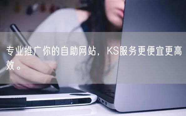 专业推广你的自助网站，KS服务更便宜更高效。