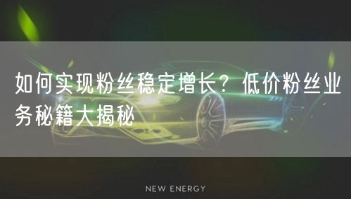 如何实现粉丝稳定增长？低价粉丝业务秘籍大揭秘