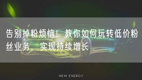 告别掉粉烦恼！教你如何玩转低价粉丝业务，实现持续增长