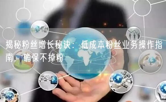 揭秘粉丝增长秘诀：低成本粉丝业务操作指南，确保不掉粉