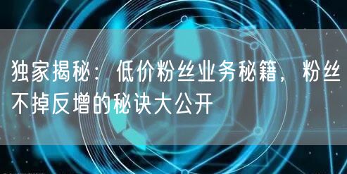 独家揭秘：低价粉丝业务秘籍，粉丝不掉反增的秘诀大公开