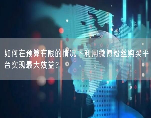 如何在预算有限的情况下利用微博粉丝购买平台实现最大效益？