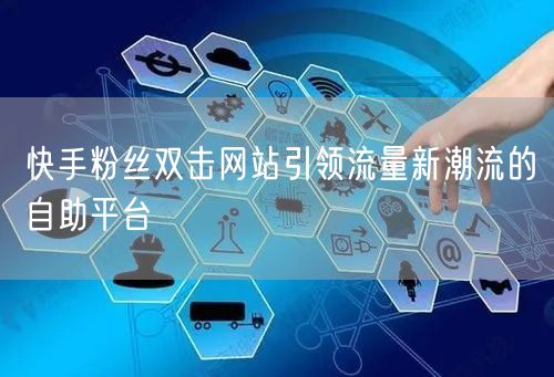 快手粉丝双击网站引领流量新潮流的自助平台