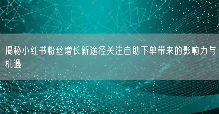 揭秘小红书粉丝增长新途径关注自助下单带来的影响力与机遇