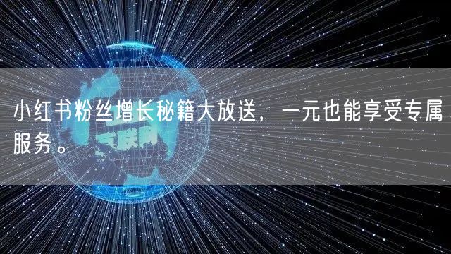 小红书粉丝增长秘籍大放送，一元也能享受专属服务。