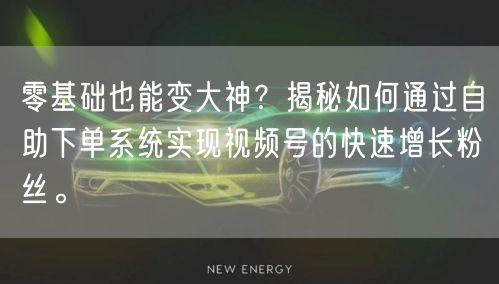 零基础也能变大神?揭秘如何通过自助下单系统实现视频号的快速增长粉丝。