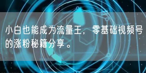 小白也能成为流量王,零基础视频号的涨粉秘籍分享。