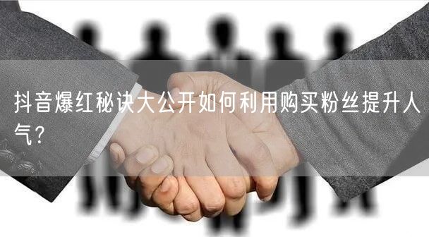 抖音爆红秘诀大公开如何利用购买粉丝提升人气?