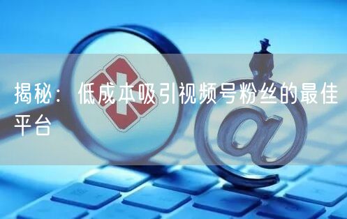 揭秘:低成本吸引视频号粉丝的最佳平台