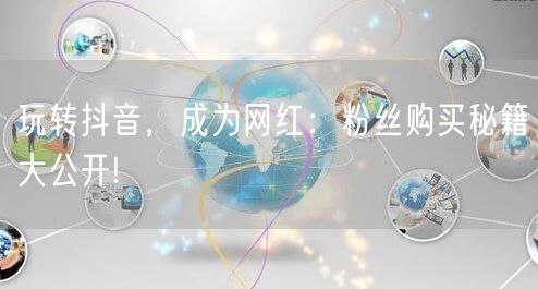 玩转抖音,成为网红:粉丝购买秘籍大公开!