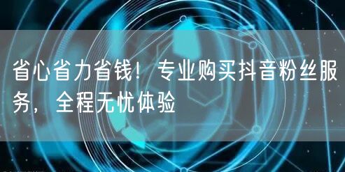 省心省力省钱！专业购买抖音粉丝服务，全程无忧体验