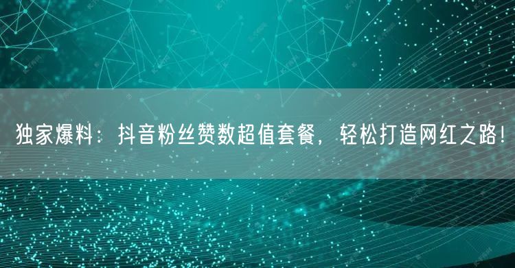 独家爆料:抖音粉丝赞数超值套餐,轻松打造网红之路!